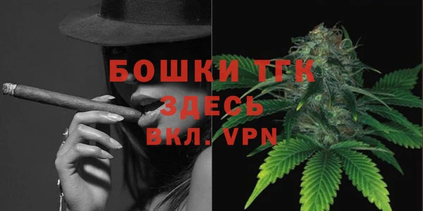 ешки Ельня