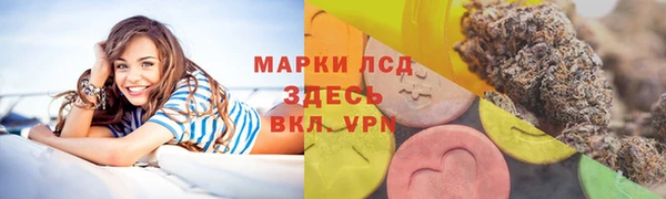 ешки Ельня