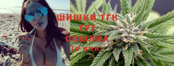 ПСИЛОЦИБИНОВЫЕ ГРИБЫ Елабуга