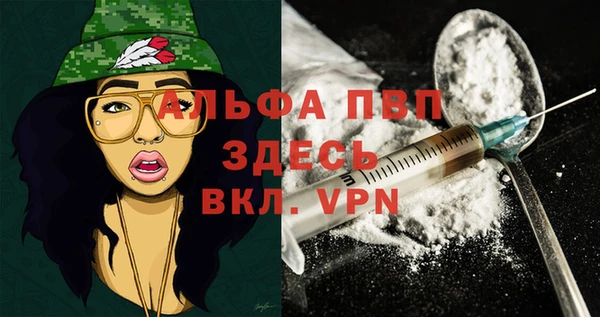 ешки Ельня