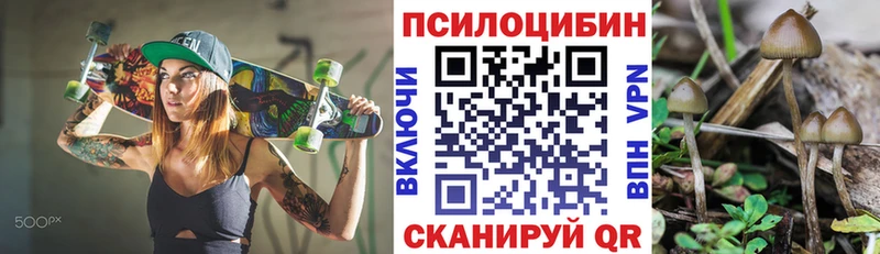 Купить закладки  Касли  Псилоцибиновые грибы Psilocybe 